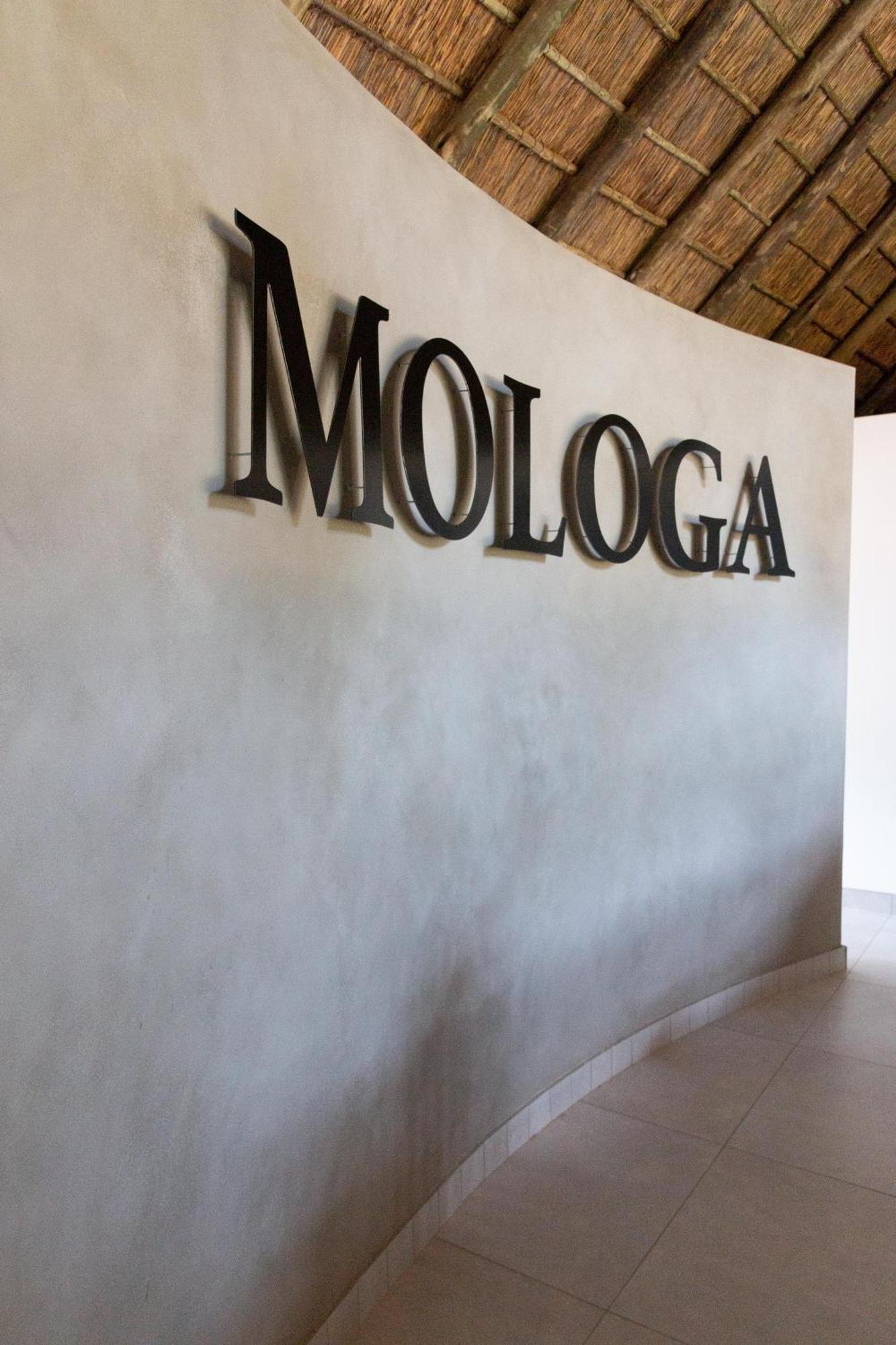 Mologa River Lodge Rust de Winter Dış mekan fotoğraf